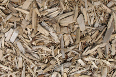 biomass boilers Motcombe